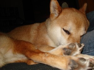 Sleepin