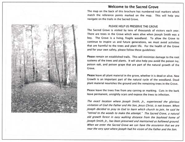 Welcome to the Sacred Grove