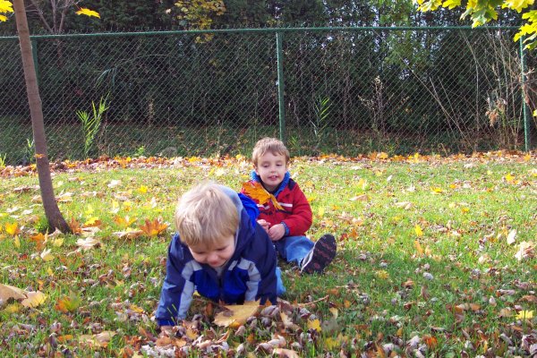 20051108 Andrew and Matthew in Autumn 12
