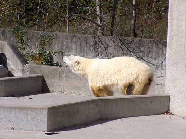 20061014 Trip to Toronto Zoo 12