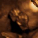 Baby #3's 3D Ultrasound 19