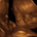 Baby #3's 3D Ultrasound 29