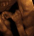 Baby #3's 3D Ultrasound 37